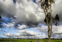 天涯社区怎么找：一步步教你轻松加入这个热门平台！